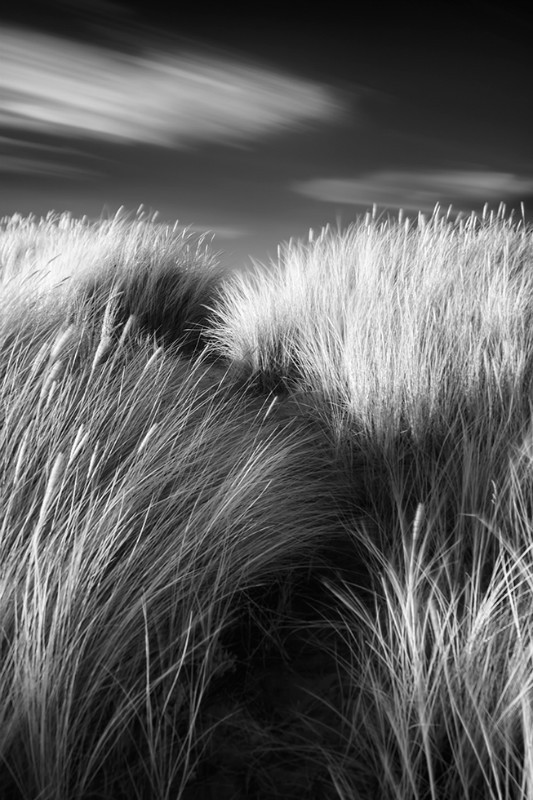 Dune - Black & White