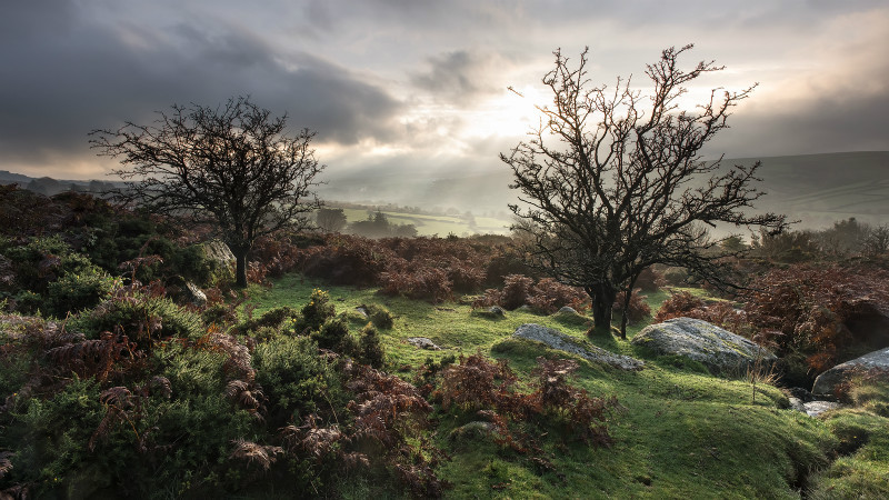 Dartmoor - Landscapes