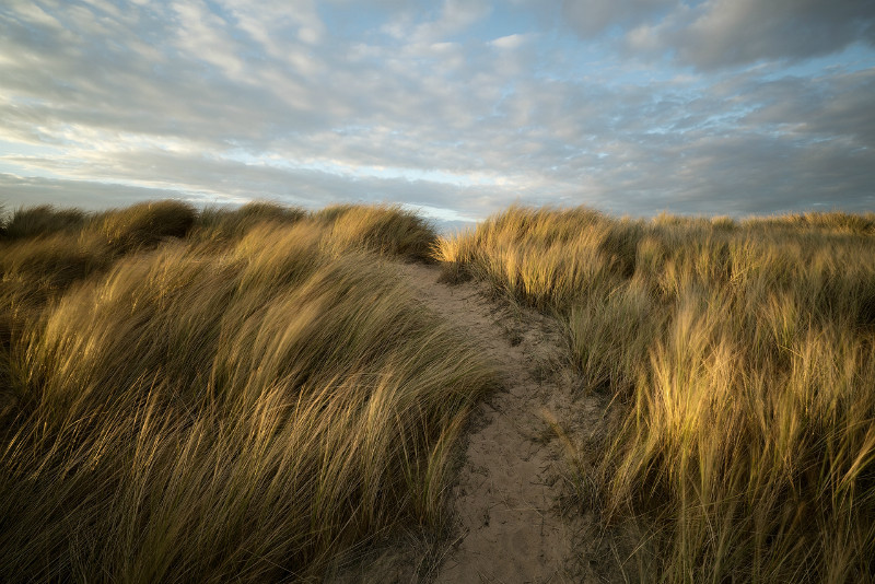 To The Sea - Norfolk