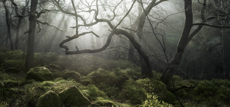 The beckoning - Padley Gorge / Bolehill Quarry