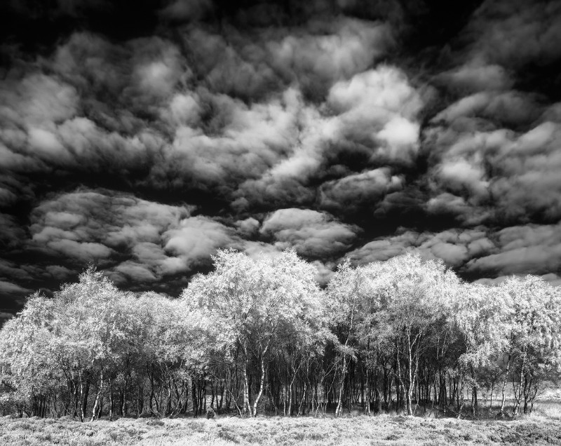  - Black & White