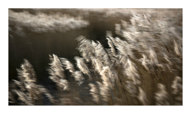  - Blurred Vision