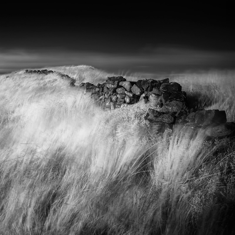 Course - Black & White