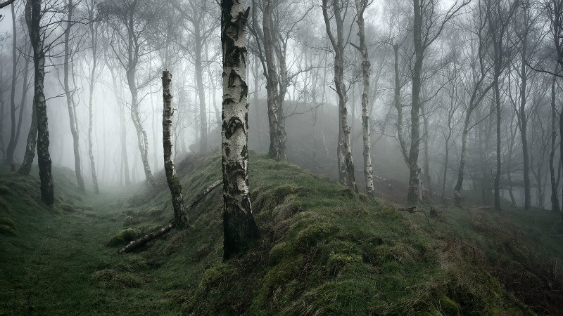 Via - Padley Gorge / Bolehill Quarry