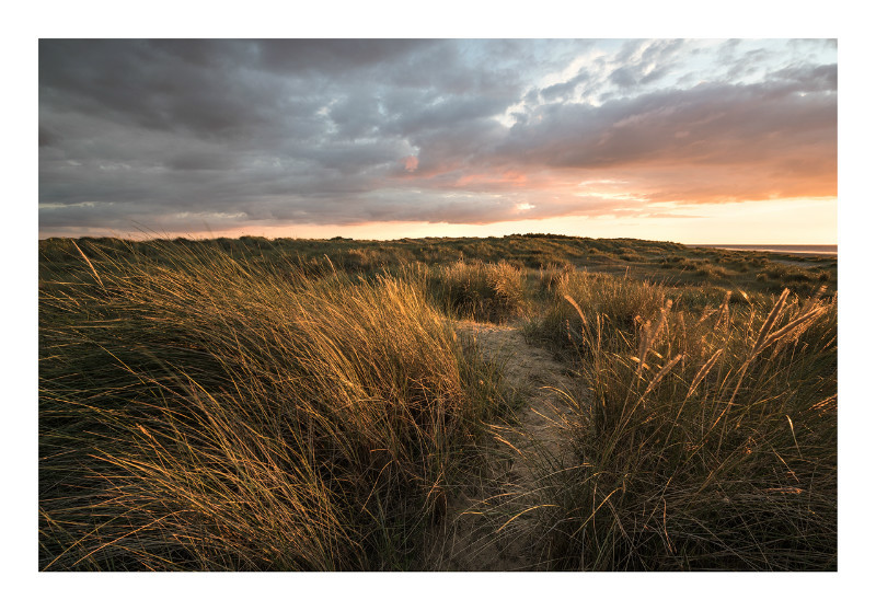The Marram Maze - Norfolk