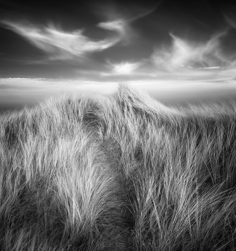 Wind Spirits - Black & White