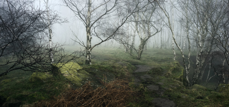 Quarry Heights - Padley Gorge / Bolehill Quarry