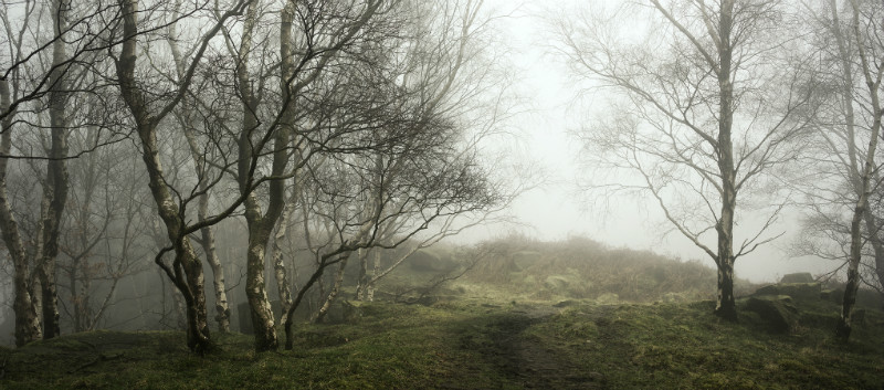 High & Dry - Padley Gorge / Bolehill Quarry