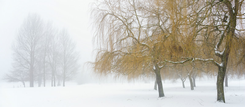 On Course - Latest Images