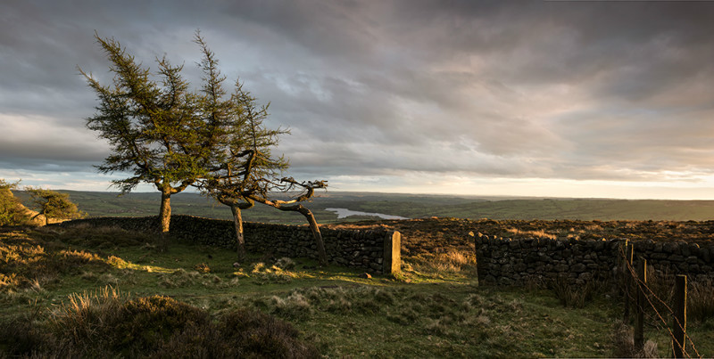 last Light II - Landscapes