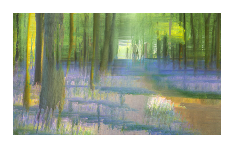  - Blurred Vision