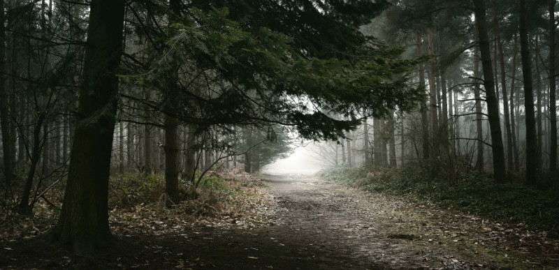  - Landscapes