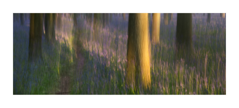  - Blurred Vision