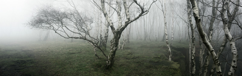  - Padley Gorge / Bolehill Quarry