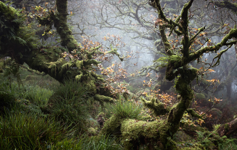  - Landscapes