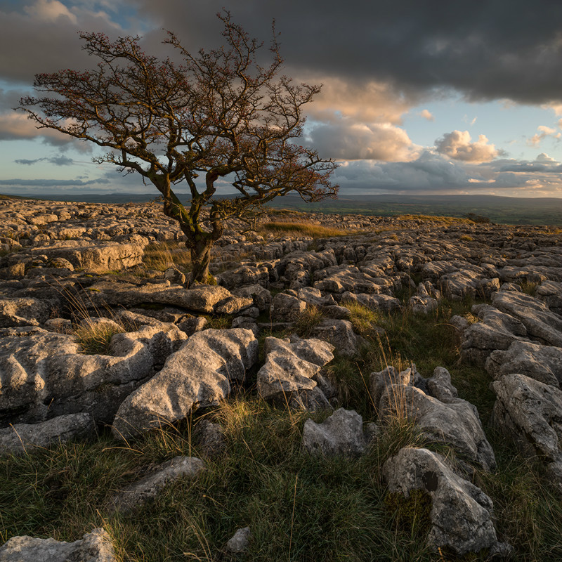 Twistleton Scar End - Landscapes
