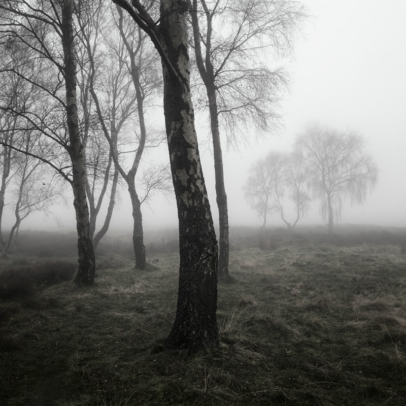  - Landscapes