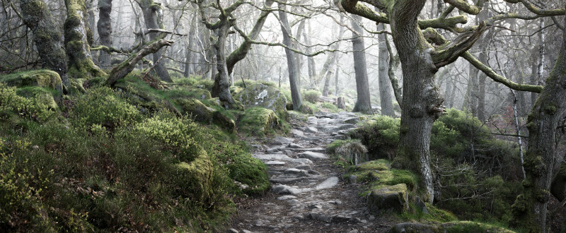  - Padley Gorge / Bolehill Quarry