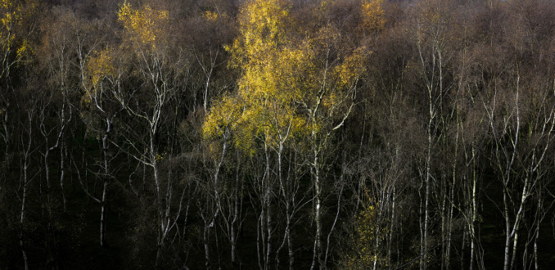  - Padley Gorge / Bolehill Quarry