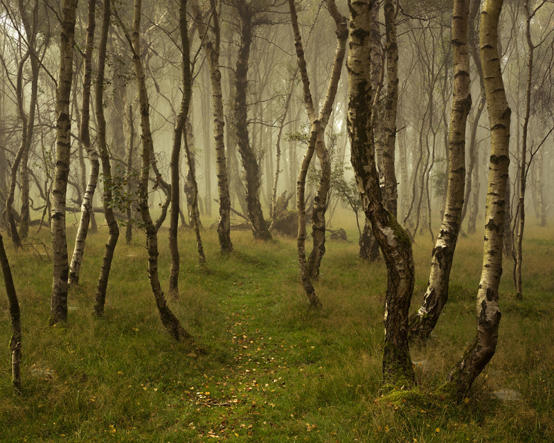 Pathfinder - Landscapes