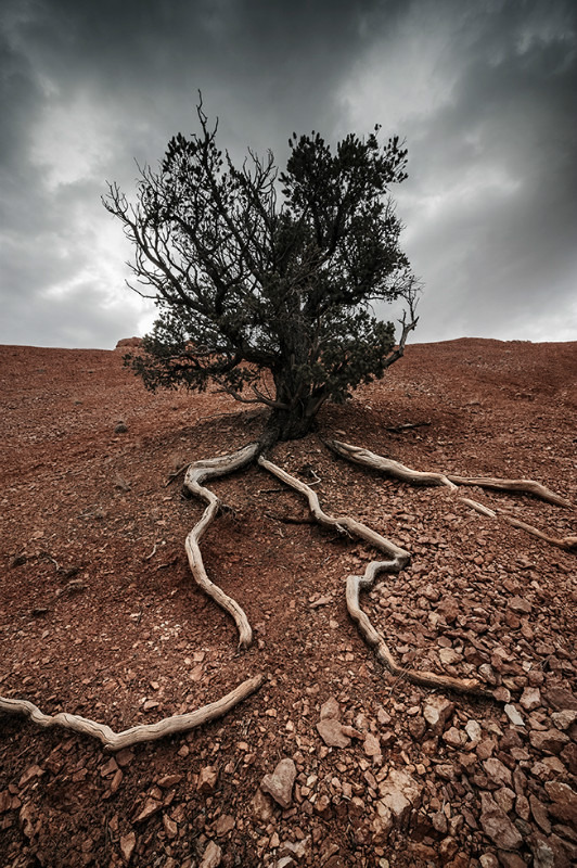 Existence - Landscapes