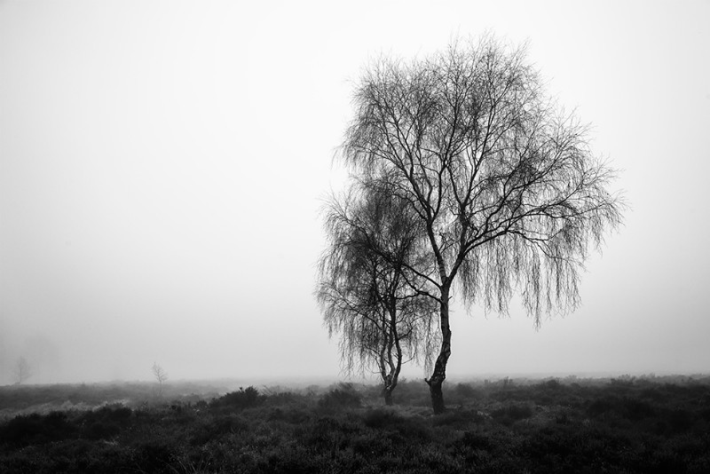  - Black & White