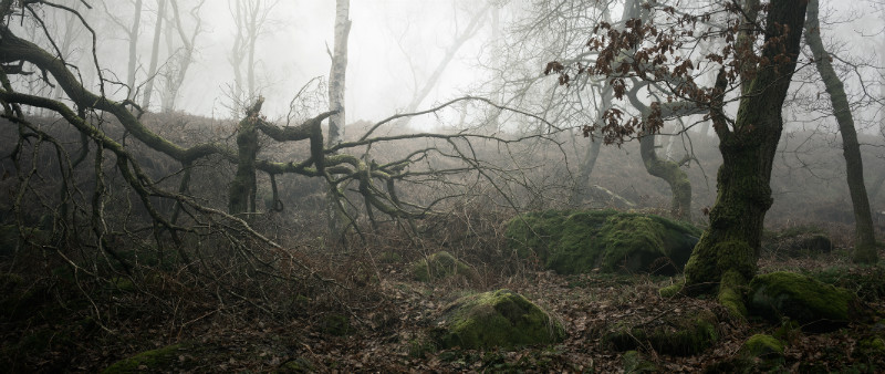 The Core - Padley Gorge / Bolehill Quarry