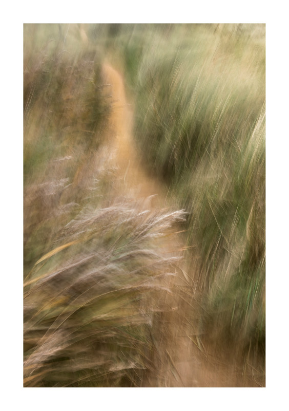  - Blurred Vision