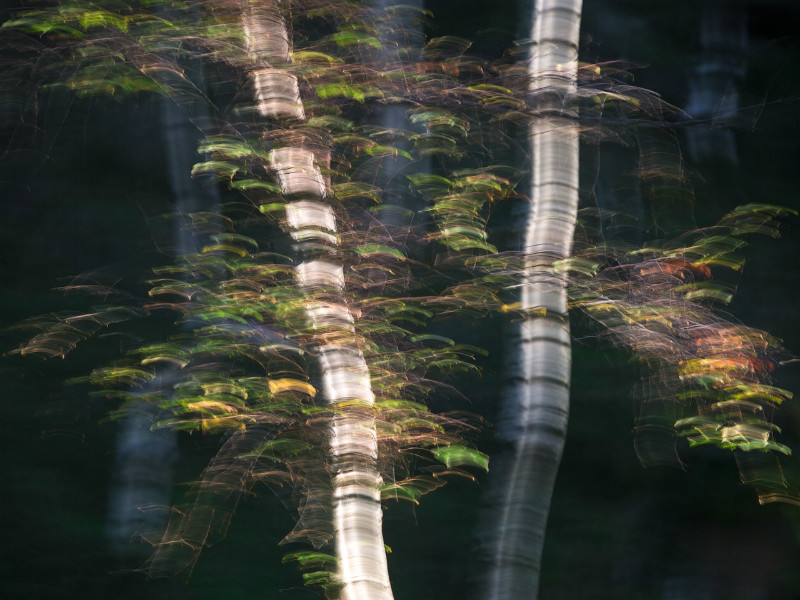 - Blurred Vision