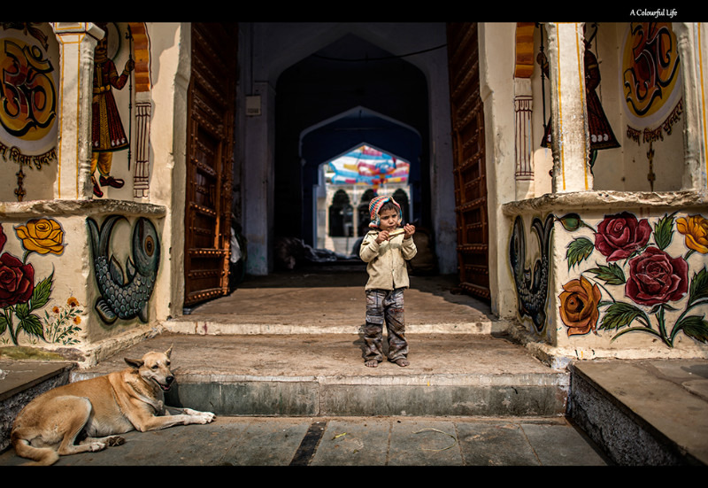 A Colourful Life - Travel