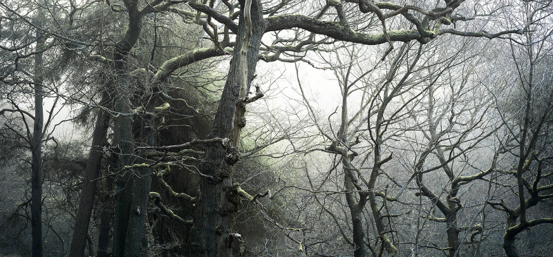 Spectral - Padley Gorge / Bolehill Quarry