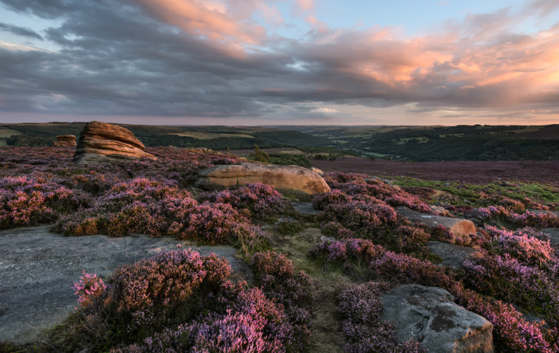 Going going ..... - Landscapes