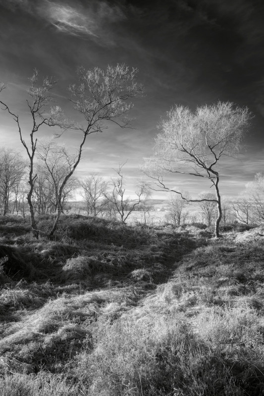 Planet Peaks - Black & White