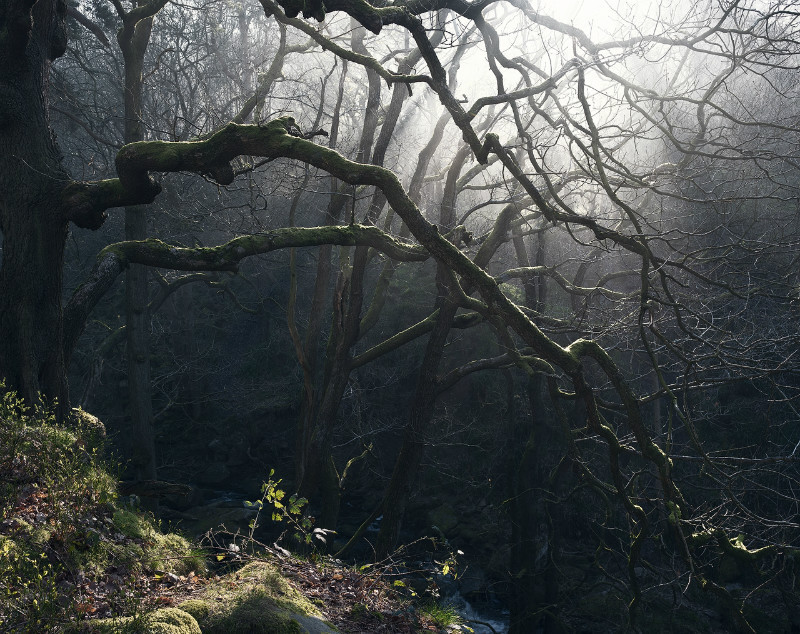 On the edge - Padley Gorge / Bolehill Quarry