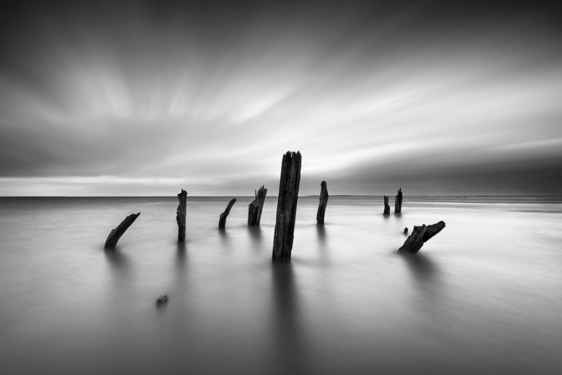 North North East - Black & White
