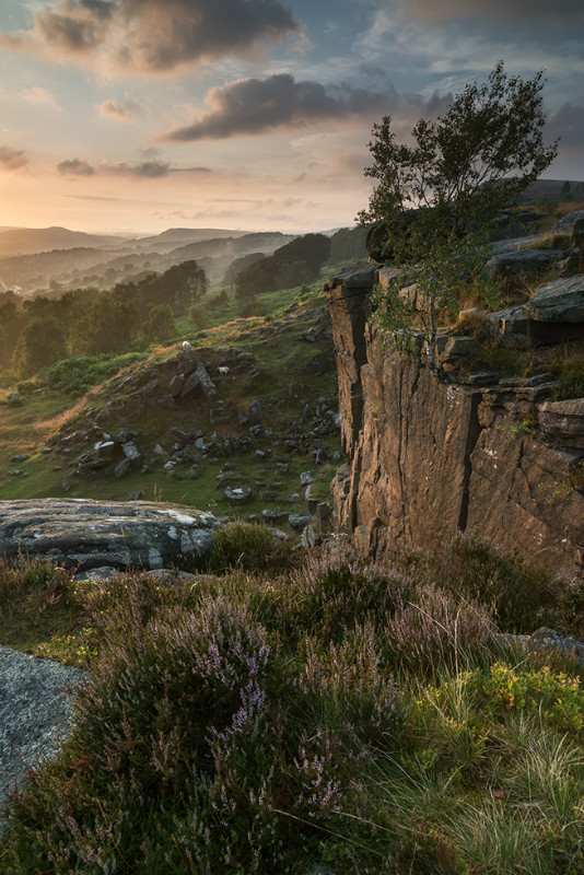 Surprise View - Landscapes