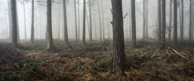 - Landscapes