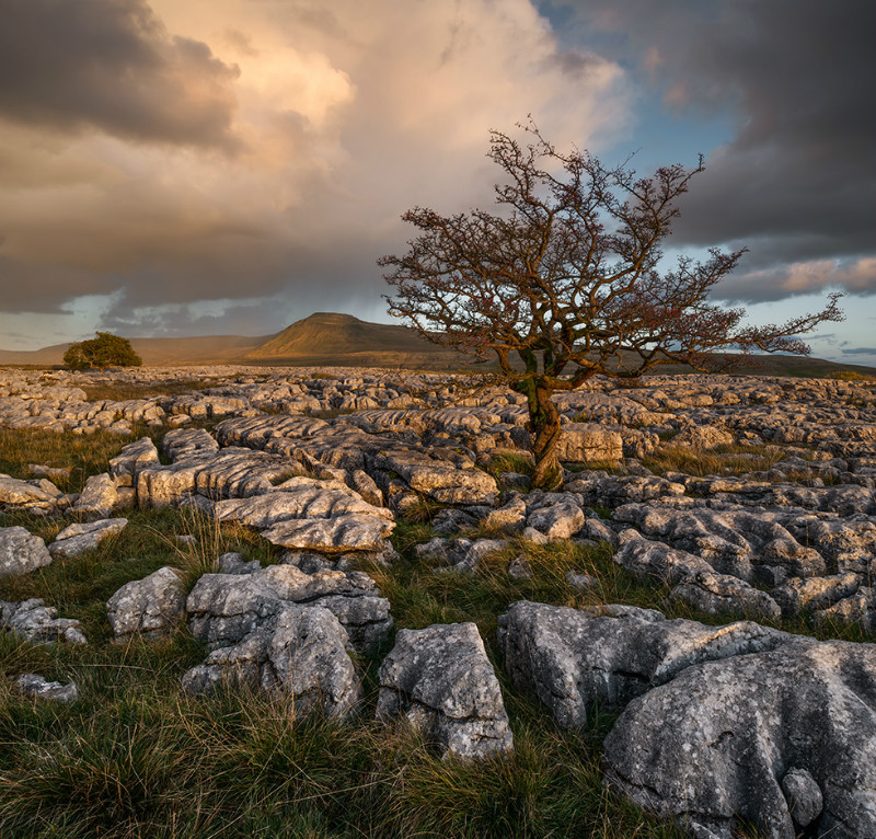 Light & Land - Landscapes