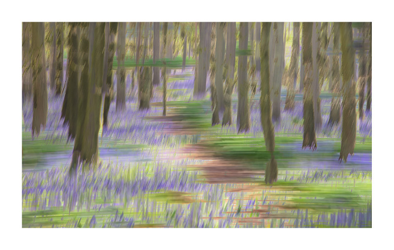  - Blurred Vision