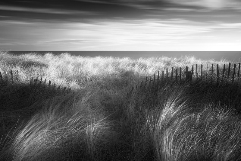 Prevailing - Black & White