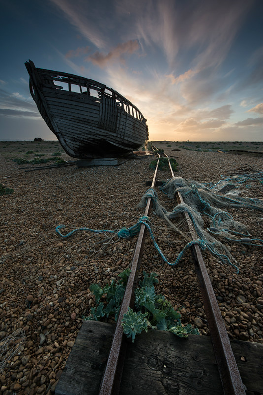 Dungeness