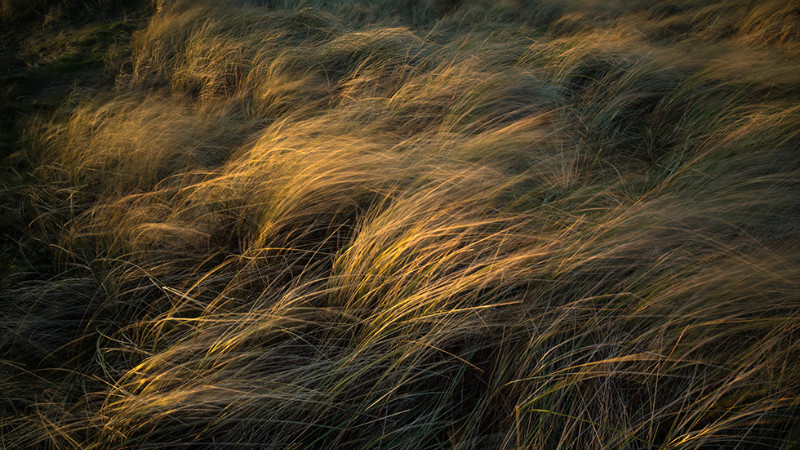 Gwithian - Cornwall 2014