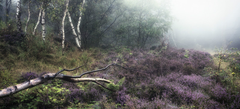  - Landscapes