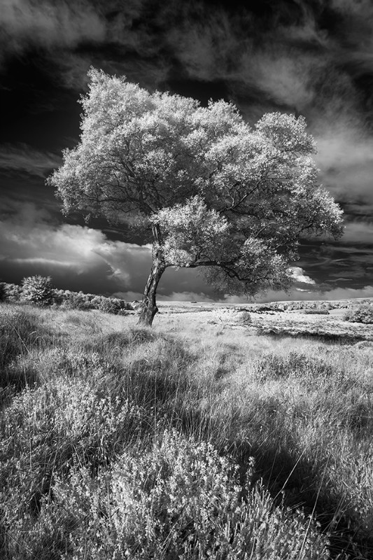 Hathersage - Black & White