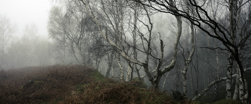  - Padley Gorge / Bolehill Quarry