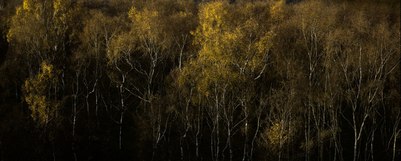 Beith - Padley Gorge / Bolehill Quarry
