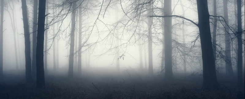 Veiled - Landscapes