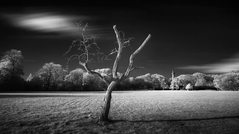 And then...... - Black & White