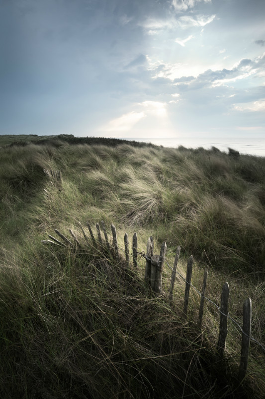 Summer breeze - Latest Images