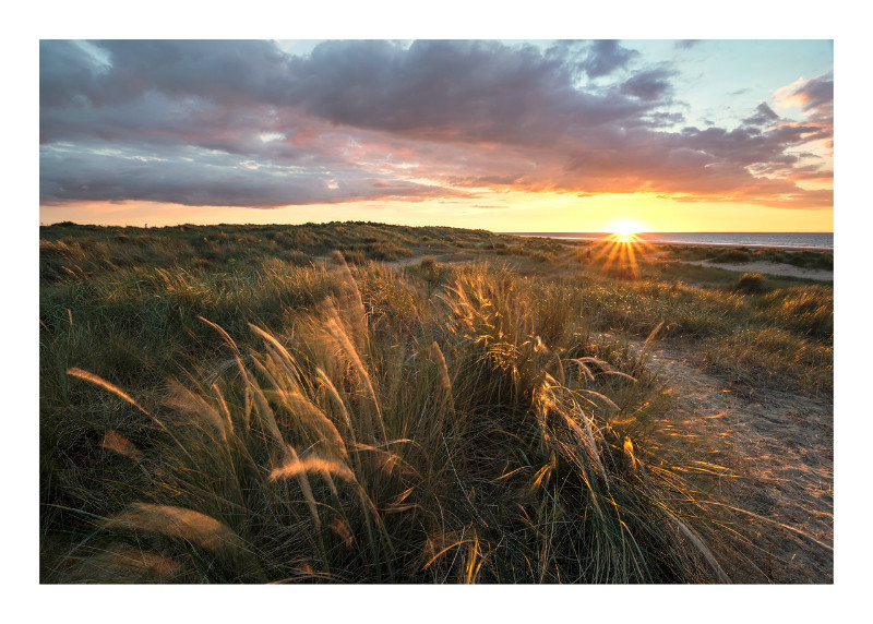Holme Delight - Norfolk